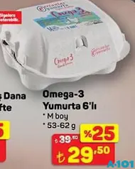 OMEGA-3 YUMURTA 6'LI M BOY 53-62 G